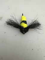 IMG_1870.jpeg