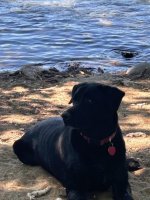 IMG_0739.jpeg