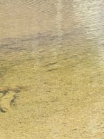 20230625_141038.jpg 20230625_141038.jpg