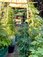 IMG_3570.jpeg