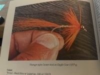 IMG_2175.jpeg