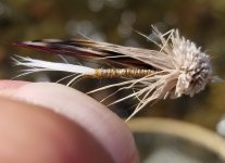 20230705_muddler.jpg