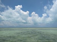 PXL_20230705_180456205.jpg