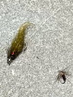 IMG_2625.jpeg