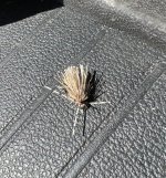 IMG_4173.jpeg
