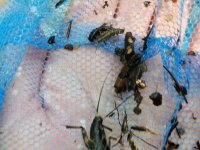 20230707_101045.jpg 20230707_101045.jpg