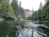 IMG_2177.jpeg