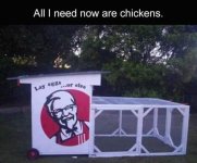 FB_IMG_1687494061838.jpg