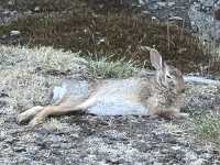 IMG_4067.jpeg