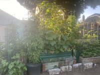 IMG_3582.jpeg