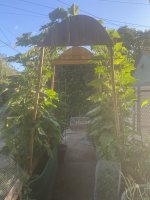 IMG_3585.jpeg