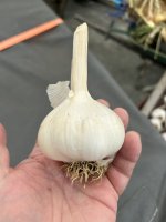 IMG_0169.jpeg
