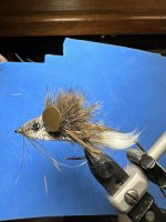 IMG_1955.jpeg