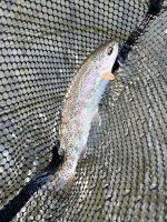 IMG_4198.jpeg