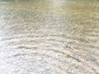 20230710_rain.jpg