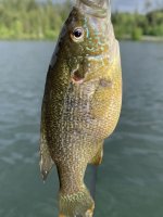 IMG_5624.jpeg