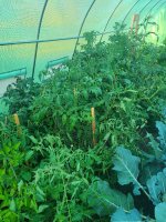20230711_190014.jpg 20230711_190014.jpg