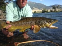 IMG_0782.jpeg