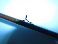 IMG_0166.JPG