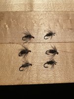 IMG_2194.jpeg