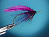 purplegoosespey2.JPG