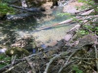 IMG_2195.jpeg