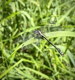 1495D619-98E8-4217-B9A7-F73C6B66E058.jpeg