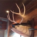 IMG_4101.jpeg