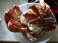 20180728_182436.jpg 20180728_182436.jpg