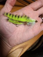 20230714_211738.jpg