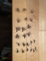 IMG_2198.jpeg