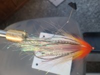 20230715_195114.jpg