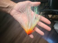 20230715_195703.jpg