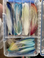 IMG_2199.jpeg