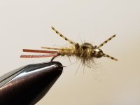 20230716_120233.jpg