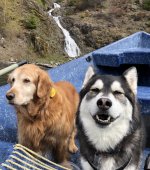 IMG_2080.jpeg