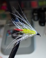 IMG_20230716_204637898.jpg