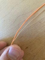 IMG_7384.jpeg