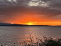 IMG_4150.jpeg