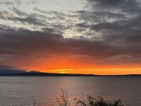 IMG_4151.jpeg