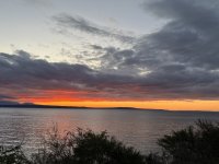 IMG_4153.jpeg