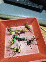 20230717_101401.jpg