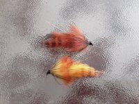 20230718_111657.jpg