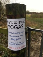 Yoga and dogs.jpg Yoga and dogs.jpg