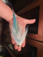 IMG_2206.jpeg