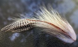 PXL_20230721_040559000~2.jpg