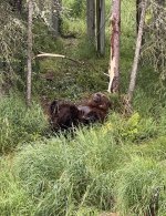 IMG_2805.jpeg