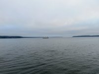IMG_4173.jpeg