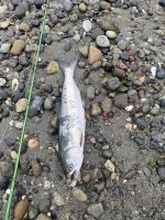 IMG_1688.jpeg