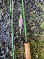 IMG_1693.jpeg